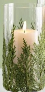 candle-evergreen