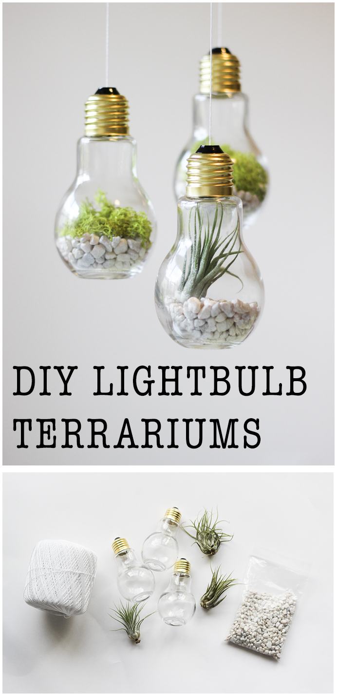 DIY Lightbulb Terrariums