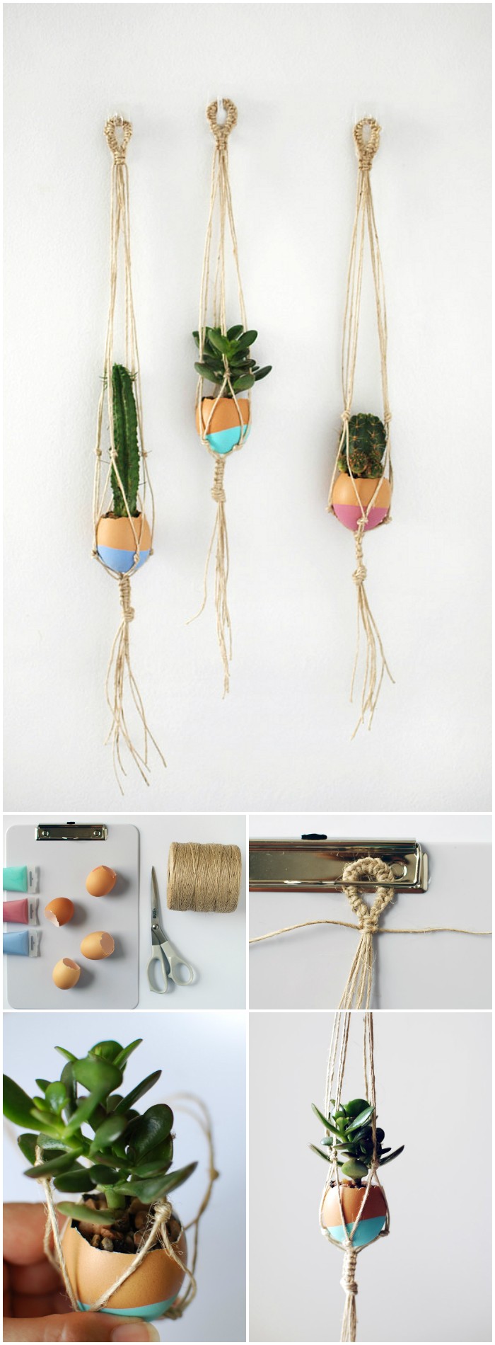 Succulent Egg Plant Hangers Cheap DIY Projects For Your Home Decoration