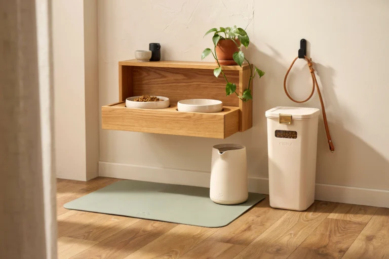 15 Modern Dog Feeding Station Ideas That Look Beautiful