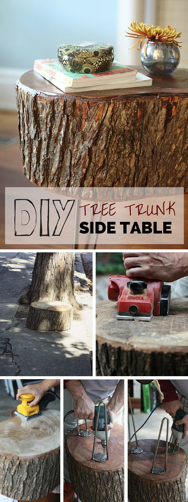 Tree Trunk Side Table: Tree trunk furniture is a trendy rustic accent in many interior design styles.