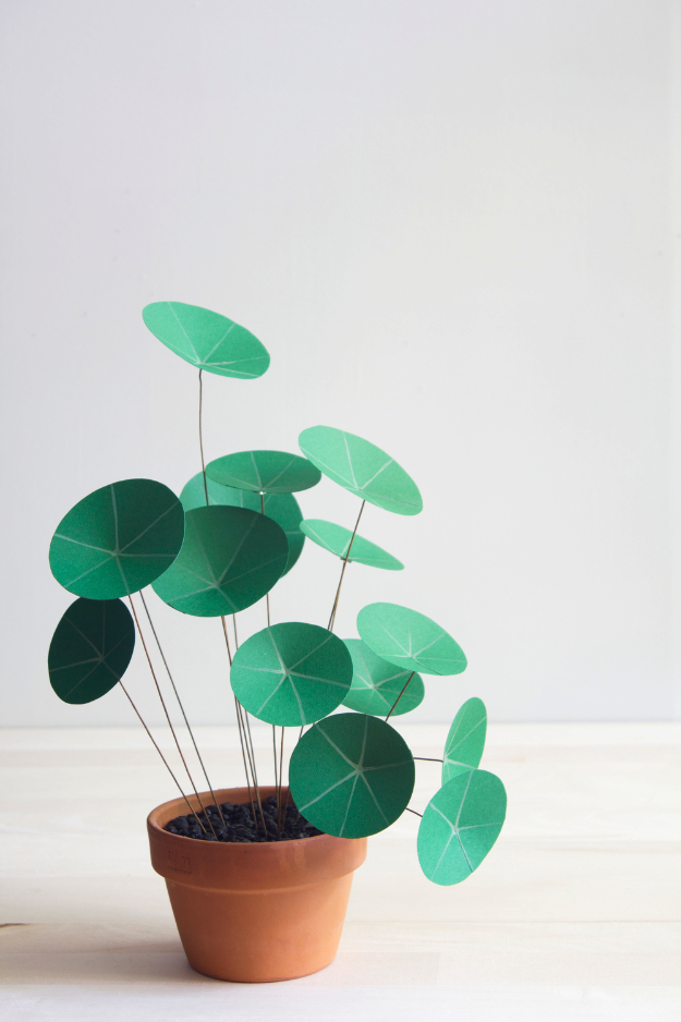 41 Easiest DIY Projects Ever - Paper Chinese Money Plant DIY - Easy DIY Crafts and Projects - Simple Craft Ideas for Beginners, Cool Crafts To Make and Sell, Simple Home Decor, Fast DIY Gifts, Cheap and Quick Project Tutorials http://diyjoy.com/easy-diy-projects