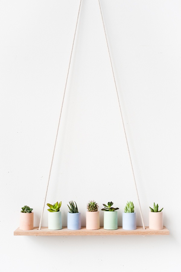 Pastel mini planters on simple DIY shelf